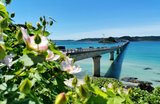 Best Things to Do in Okinawa: A Local's Guide