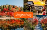 The Ultimate Nagoya Autumn Itinerary: 5 Days of Fall Foliage & Day Trips