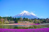 Japan public holidays 2027: full list and travel tips