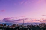 7 top attractions in Tokyo you can’t miss