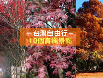 年台湾樱花季 春天必打卡樱花之地 Klook博客