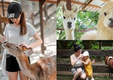 8 Best Outing Spots For Animal Lovers In Kl Selangor Zoos Farms Parks More Klook Travel Blogklook Travel