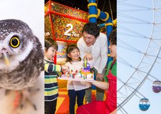 選択した画像 サンリオピューロランド ブログ 子連れ 7615 サンリオピューロランド ブログ 子連れ 選択した画像 サンリオピューロランド ブログ 子連れ 7615 サンリオピューロランド ブログ 子連れ