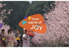 九族櫻花季整理