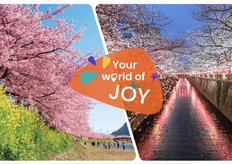 日本櫻花