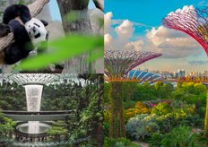 Sneak Peek] What to Expect at the Dreamy Avatar-themed Event in Gardens by  the Bay, Singapore - Klook Travel Blog