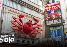 Thành phố nào tổ chức world expo 2025?