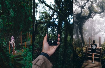 Mossy Forest, Cameron Highlands: Tips For Exploring This Enchanting Hidden Gem
