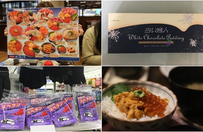 【北海道旅遊】初遊札幌 全方位懶人包