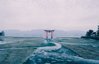 【 宮島潮汐 】第一次玩宮島? 查好潮汐時間,教你看見嚴島神社、大鳥居的千百種風貌!
