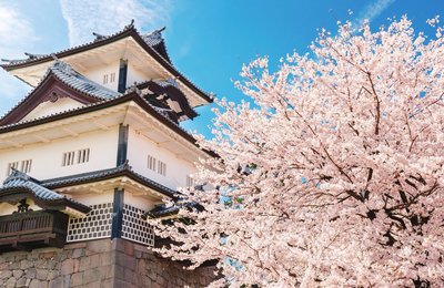 【 日本金澤自由行 】金澤機場交通、市區交通!必訪景點:近江町市場、茶屋街、兼六園⋯