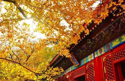 【北京自由行】見證歷史!8大北京必去景點,沒去過別說去過北京!