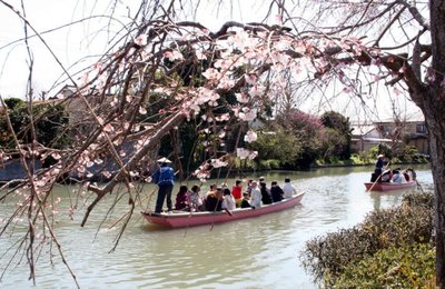 【 2018九州賞櫻 】福岡熊本賞櫻秘境精選! 穿上和服、帶上野餐餐盒賞櫻去!