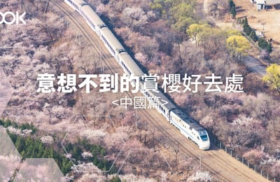 【2019追櫻攻略】意想不到的櫻花之地-中國篇