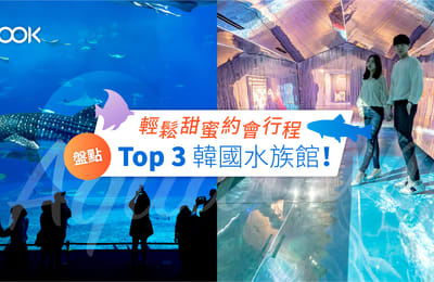 【韓國旅遊】輕鬆甜蜜約會行程:盤點Top 3 韓國水族館!