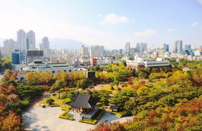 【2019韓國賞楓】釜山、大邱、慶尚北道賞楓景點&交通攻略大公開