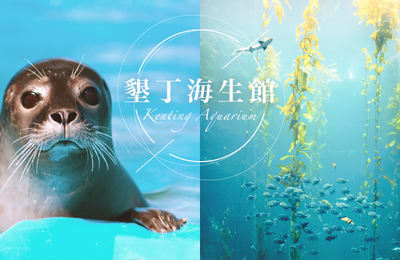 【2021屏東海生館】海生館三大展區看點&夜宿海生館 完整體驗攻略!企鵝飼育照護體驗2月即將登場
