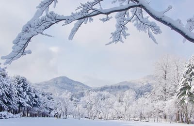 【2020韓國賞雪】10大必去韓國雪景懶人包!