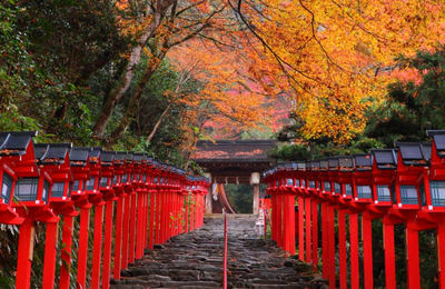Lịch Trình “Oanh Tạc” Hokkaido & Sapporo Trong 7 Ngày Với JR Pass