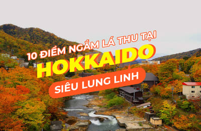 Hướng dẫn chi tiết đi chiêm ngưỡng lá phong Hokkaido