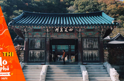 Hành trình săn lá đỏ mùa thu tại Seoul thơ mộng