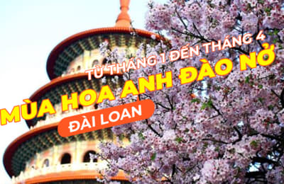 Giấc mơ anh đào: Ngập tràn sắc hồng tại Đài Loan từ tháng 1 đến tháng 4!