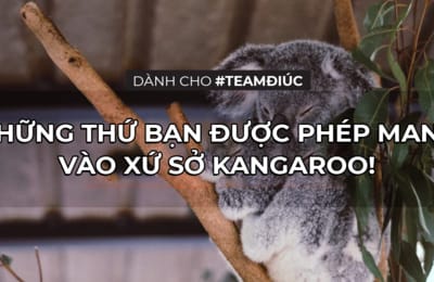 Du lịch tự túc Úc cần biết: Lưu ý về những thứ có thể mang theo khi nhập cảnh
