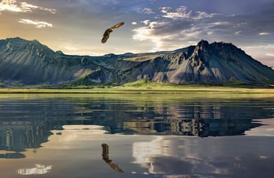 10 Địa Điểm Tham Quan Cực “Kích Thích” Ở Đảo Bắc New Zealand