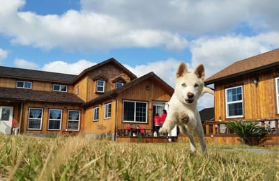 Lần Đầu Đi Đảo Jeju Tự Túc, Đừng Bỏ Qua 10 Địa Điểm Này!