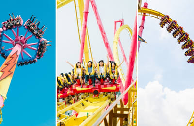 Scariest Rides At Ocean Park Hong Kong All Thrill-Seekers Need To Take Now