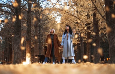 Klook X KTO: The Gibbs Guide To Seoul, South Korea!