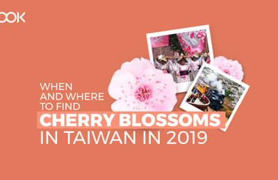 Taiwan’s 2019 Cherry Blossom Forecast And Best Viewing Spots