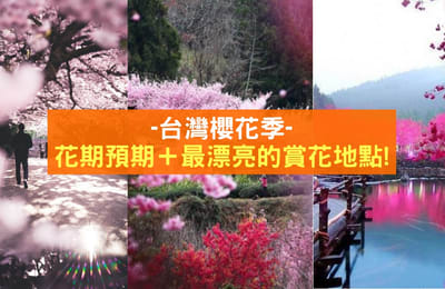 【2019樱花季】台湾樱花花期预测+最漂亮的赏樱地点!