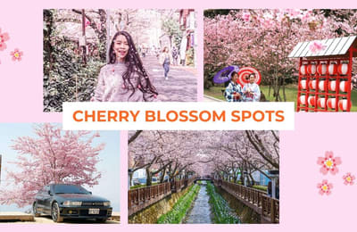 18 Insta-Worthy Cherry Blossom Spots To Spruce Up Your IG Feed