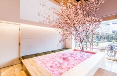 Swim In A Pool Of Sakura Petals At This Tokyo Cherry Blossoms Bar While You Can!