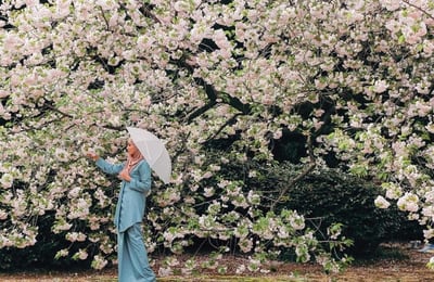 20 Photos Of Hijabsters Living Out Their Cherry Blossom Dream Holiday