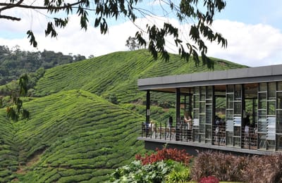 10 Budget Hotels And Accommodation In Cameron Highlands For A Long Weekend Trip