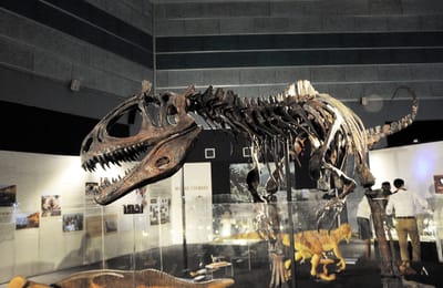 Discover Real Fossils and New Dinosaurs At Science Centre Singapore’s DinoQuest
