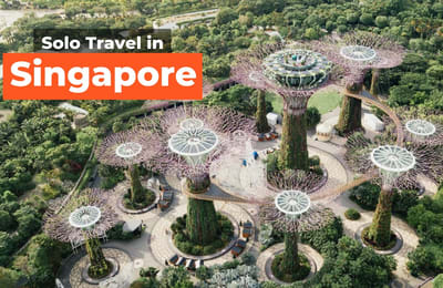 Travel Solo in Singapore: What To Do and Where To Go