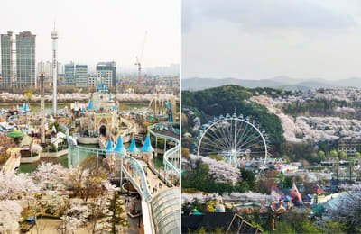 Lotte World or Everland? Which Korea Theme Park Should You Visit?