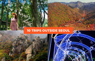 10 Tours Outside of Seoul You Can Take in a Day