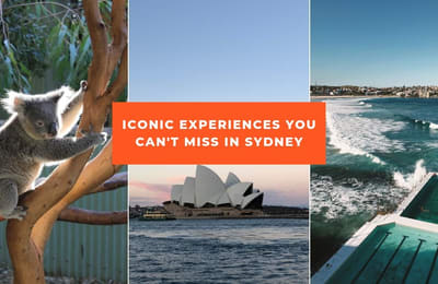 Whale Watching, Bondi Beach Walk, Sushi Donuts And Other Iconic Things To Check Out In Sydney