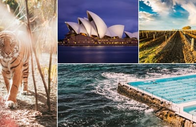 Sun, Surf And Sea Life: 10 Top-Koalaty Things To Do in Sydney, Australia