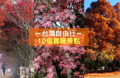 【2019台湾赏枫景点】不输日本韩国的赏枫胜地!