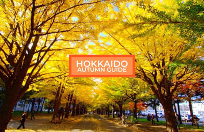 All You Need To Know About Spending Autumn In Hokkaido