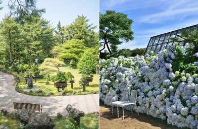 Here Are 10 Postcard-Perfect Reasons Why You Should Travel To Jeju Island, South Korea Next