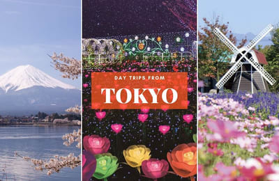 10 Day Trips From Tokyo featuring Mt. Fuji, Flower Gardens and More!