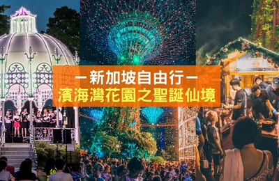 【滨海湾花园之圣诞仙境】让你度过充满灯光的圣诞夜!