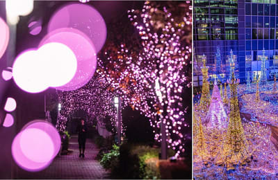 10 Christmas Lights Installations In Tokyo To Brighten Up Your Holidays!