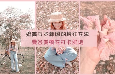 【泰国也能赏樱花】媲美日本韩国的「浪漫粉红色花海」!